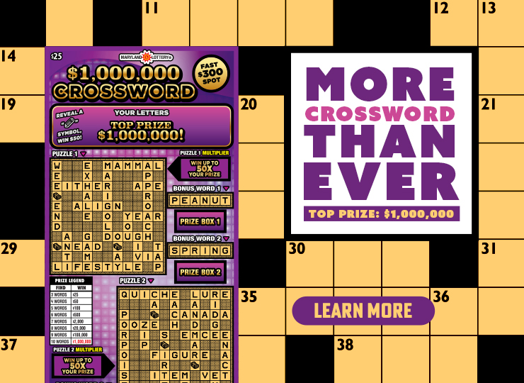 More crossword than ever!